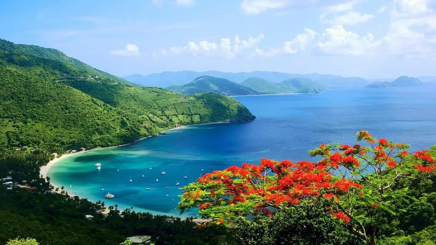 高质量高性能高性能